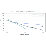Linearity - Human NKX6.2/GTX ELISA Kit (A303106) - Antibodies.com